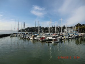 sail boats Tiburon