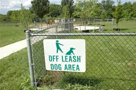 off leash